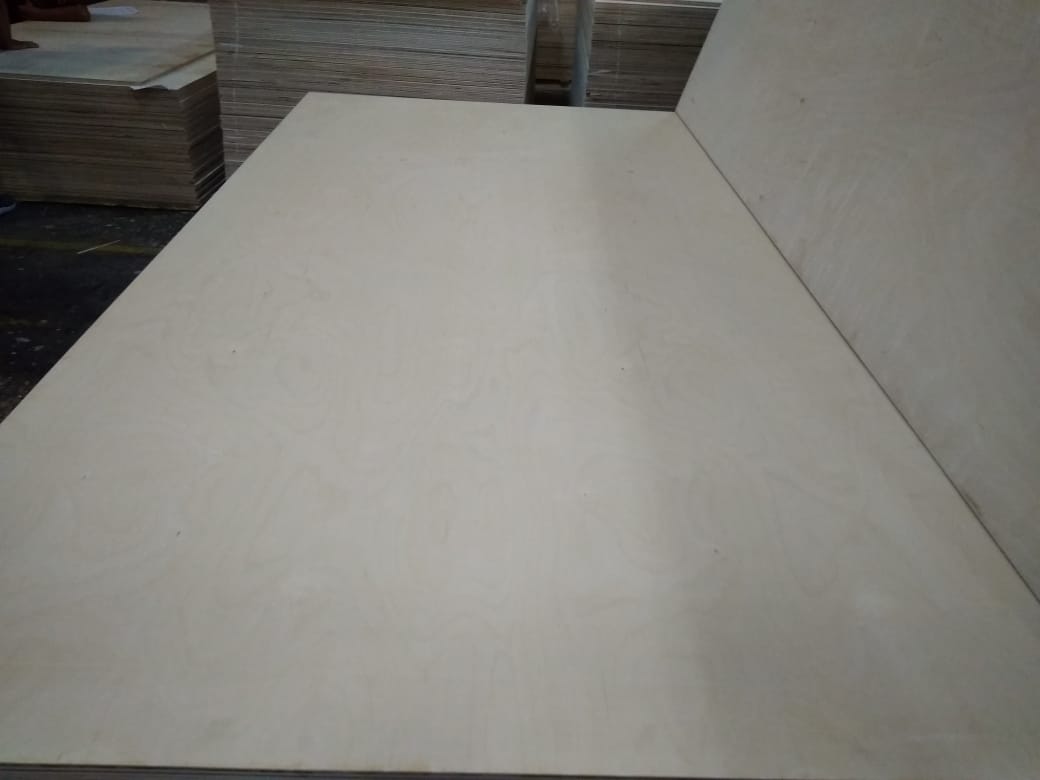 Birch Image 4