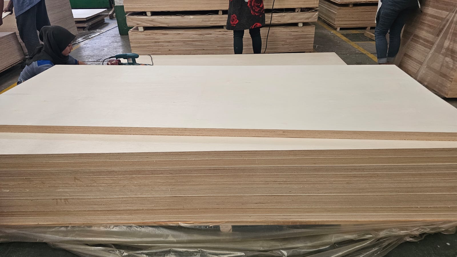 MLH Door Core 1