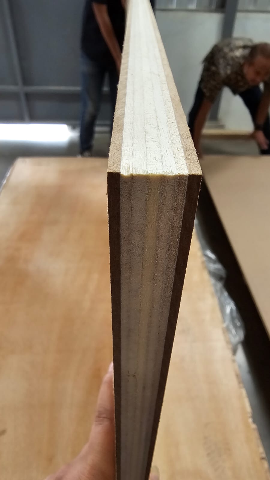MLH Door Core 1
