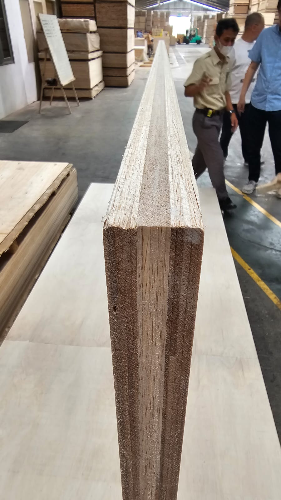 MLH Door Core 1