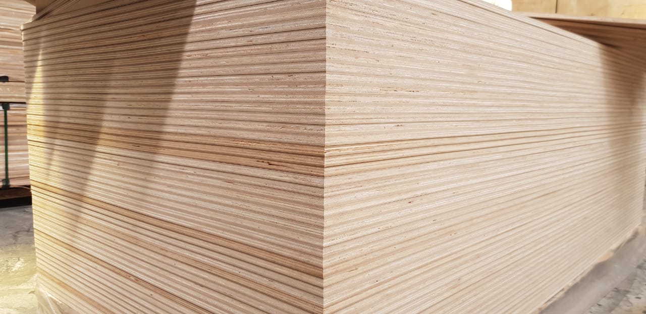 MDF 2